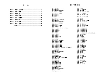 18 久保田遺跡他遺跡詳細分布調査報告書　沖積低地の遺跡確認調査 目次　図・写真目次