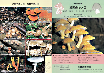 湘南のキノコ　リーフレット P1P4