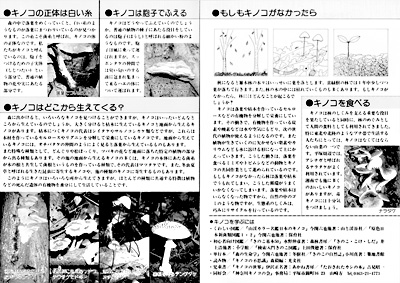 湘南のキノコ　リーフレット P2P3