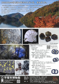 丹沢でみつけたスゴい石_リーフレット P2