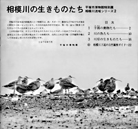 相模川の生きものたち　目次