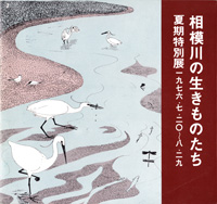 相模川の生きものたち　表紙