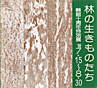 林の生き物たち　表紙