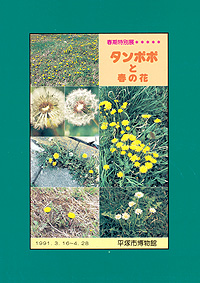 たんぽぽと春の花　表紙