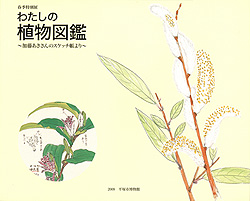 わたしの植物図鑑 ～加藤あきさんのスケッチ帳より～　表紙