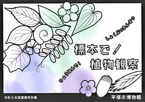 標本で！ 植物観察　表紙