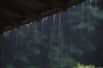 軒先の雨だれ