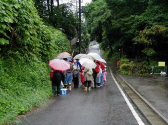 雨の中の観察会