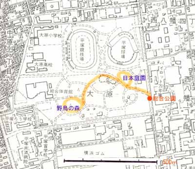 総合公園地図