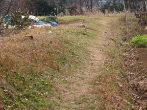 冬の野道