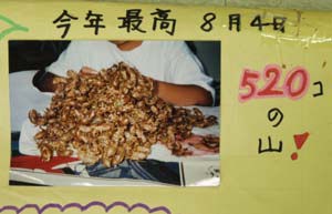 520個のぬけがら
