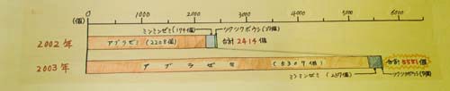 種別の割合