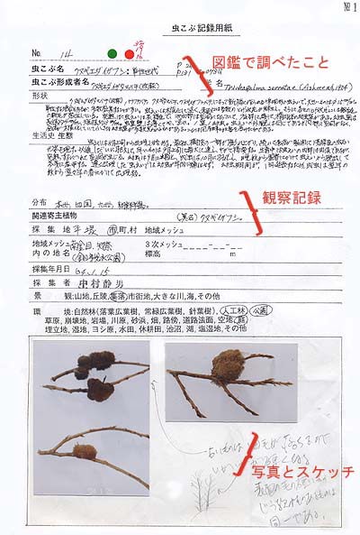 中村さんの記録カード