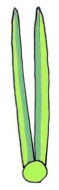 二つ折り模式図