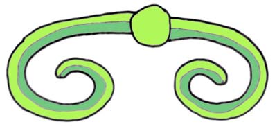 外巻きの模式図