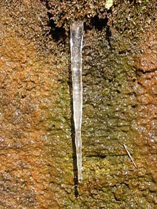 崖にできた氷柱