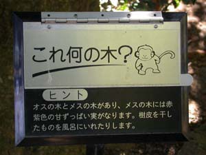 クイズ式の樹名板