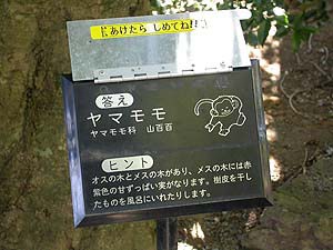 クイズ式の樹名板の回答