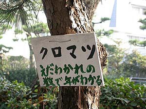 花水小学校の樹名板