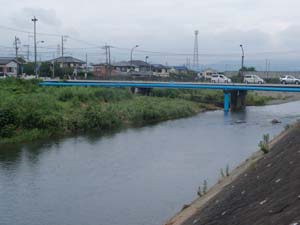 新霞橋