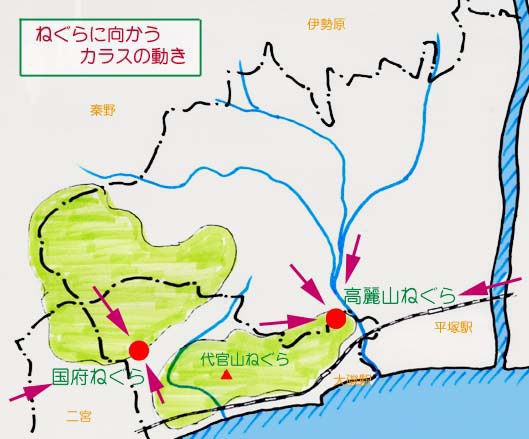 平塚周辺のカラスのねぐら