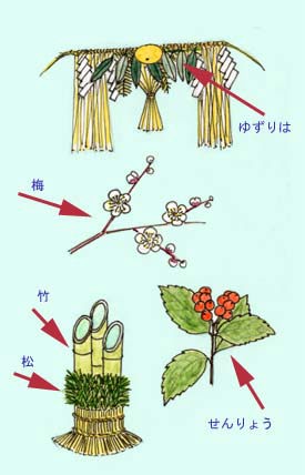 おめでたい植物のいろいろ