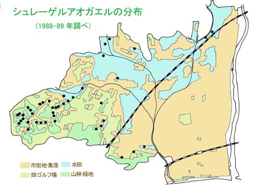 シュレーゲルアオガエルの分布