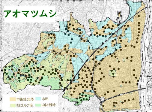 アオマツムシの分布図