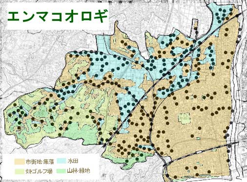 エンマコオロギ分布図