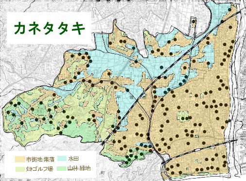 カネタタキ分布図