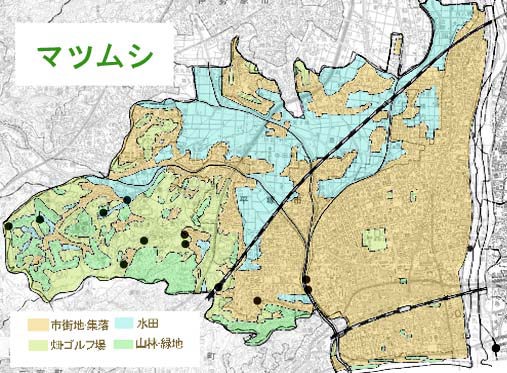 マツムシ分布