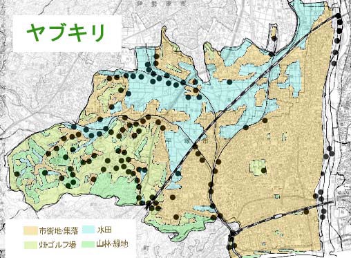 ヤブキリの分布