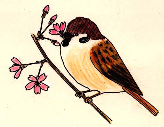サクラの花をくわえとったスズメ