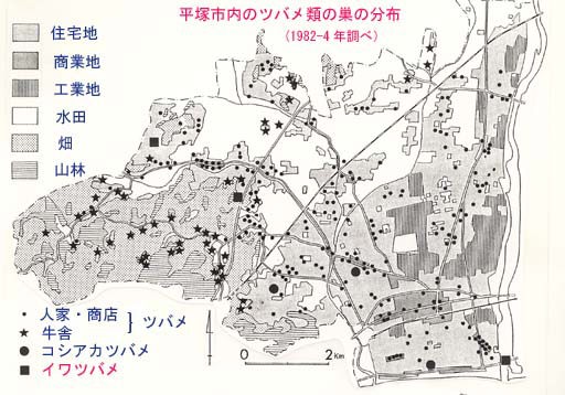 平塚市のツバメ類の巣の分布