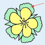 副萼片が目立つ