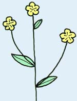 直立する茎
