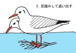 足踏みで小動物を追い出す