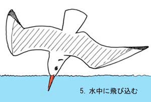 水中に飛び込む