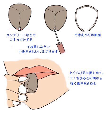 ツバキの実で笛を作る