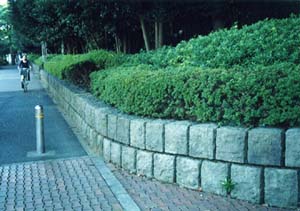 歩道縁石の芦野石