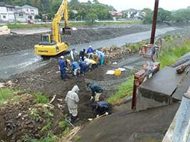 堰アゲ作業中（寺島堰 2013年5月11日)