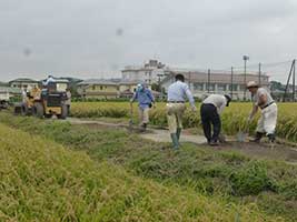 道普請作業中（南金目太田　 2013年9月14日）