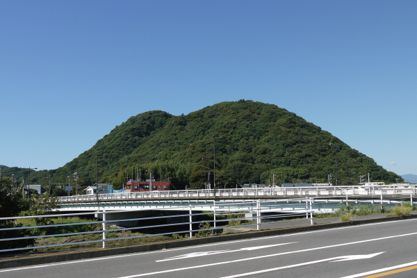 写真5