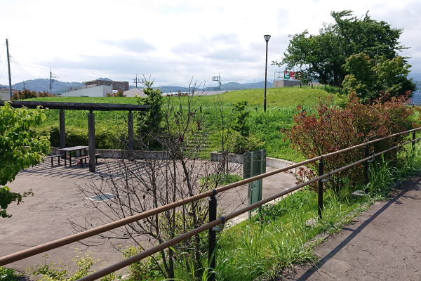 写真3