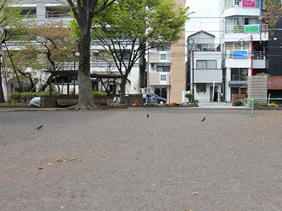 現在の明石町公園