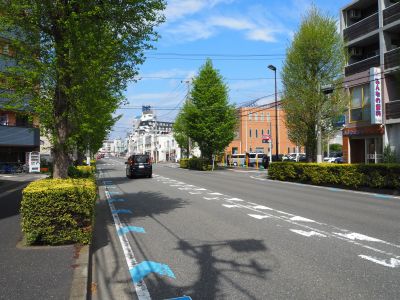 現在のいちょう並木通り