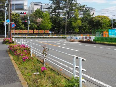 現在の横浜ゴム前