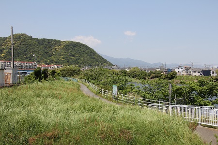 現在の花水河畔からみた高麗山