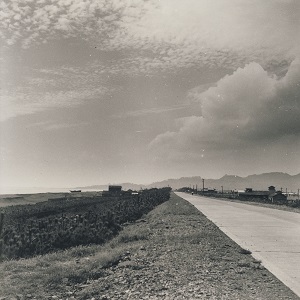 湘南遊歩道路