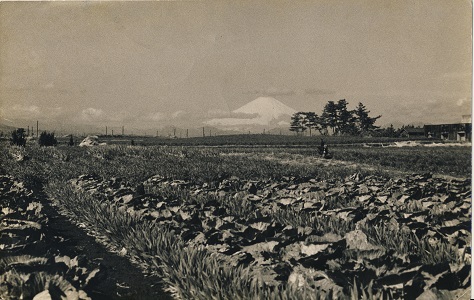 大野中学校バス停付近